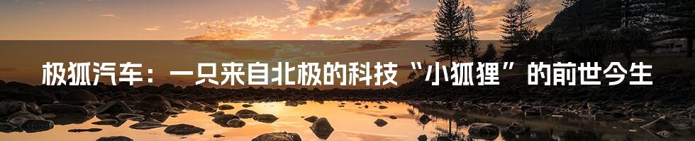 极狐汽车:一只来自北极的科技“小狐狸”的前世今生