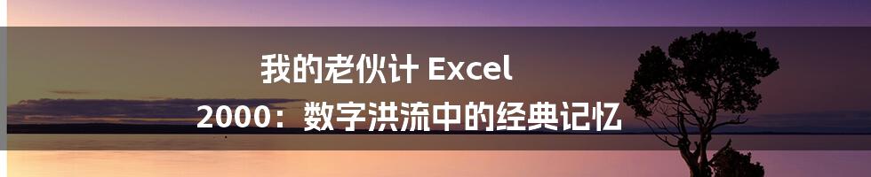 我的老伙计 Excel 2000:数字洪流中的经典记忆