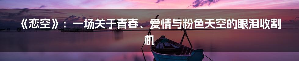 《恋空》:一场关于青春、爱情与粉色天空的眼泪收割机