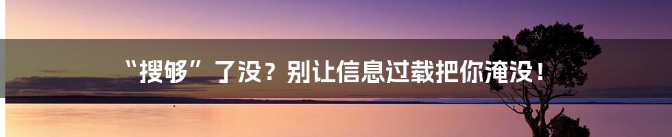“搜够”了没?别让信息过载把你淹没!