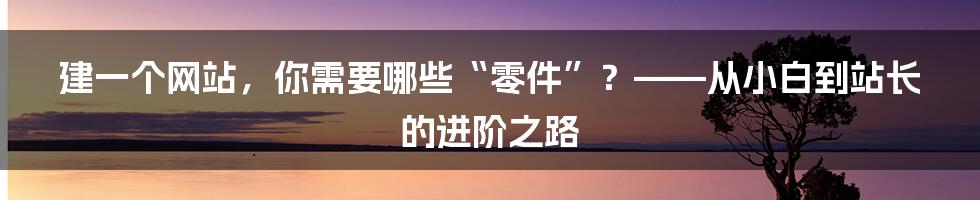 建一个网站,你需要哪些“零件”?——从小白到站长的进阶之路
