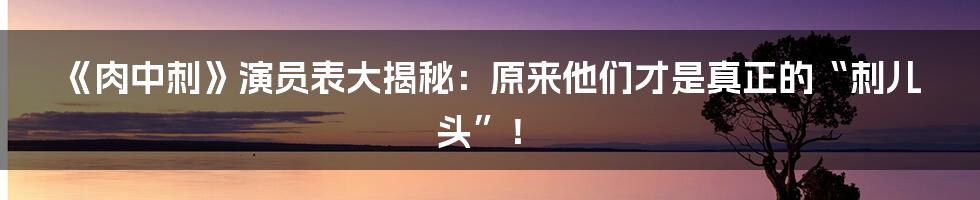 《肉中刺》演员表大揭秘:原来他们才是真正的“刺儿头”!