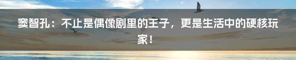 窦智孔:不止是偶像剧里的王子,更是生活中的硬核玩家!