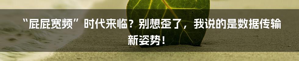 “屁屁宽频”时代来临?别想歪了,我说的是数据传输新姿势!