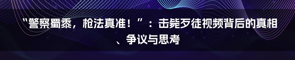 “警察蜀黍,枪法真准!”:击毙歹徒视频背后的真相、争议与思考