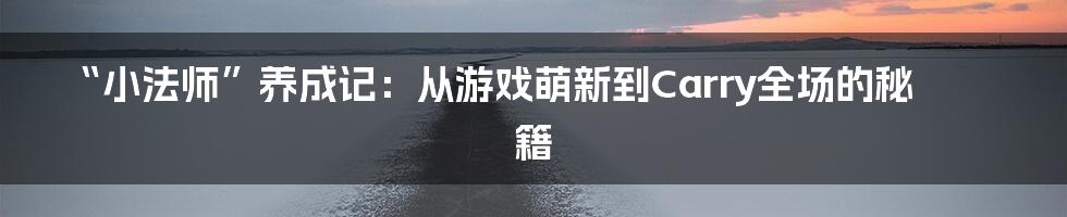 “小法师”养成记:从游戏萌新到Carry全场的秘籍