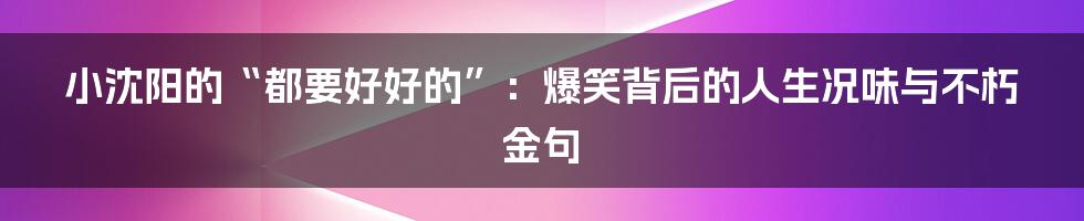 小沈阳的“都要好好的”:爆笑背后的人生况味与不朽金句