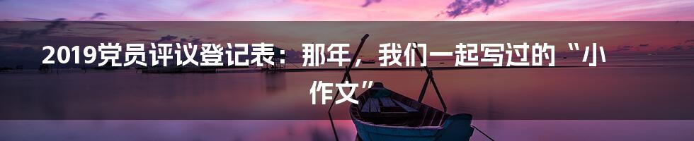 2019党员评议登记表:那年,我们一起写过的“小作文”