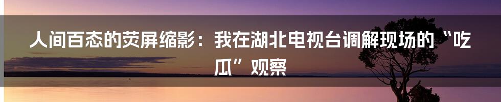 人间百态的荧屏缩影：我在湖北电视台调解现场的“吃瓜”观察