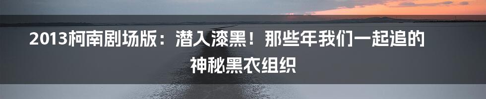 2013柯南剧场版:潜入漆黑!那些年我们一起追的神秘黑衣组织