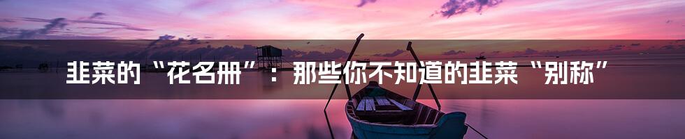 韭菜的“花名册”:那些你不知道的韭菜“别称”
