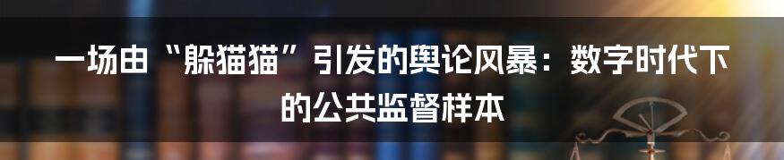 一场由“躲猫猫”引发的舆论风暴:数字时代下的公共监督样本
