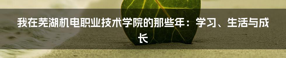 我在芜湖机电职业技术学院的那些年：学习、生活与成长