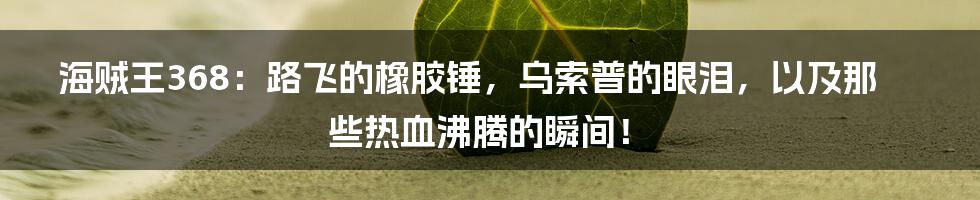 海贼王368:路飞的橡胶锤,乌索普的眼泪,以及那些热血沸腾的瞬间!