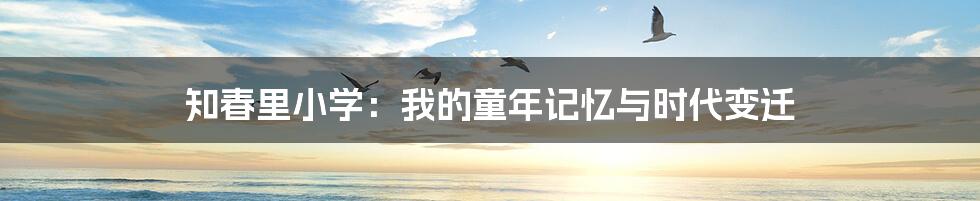 知春里小学:我的童年记忆与时代变迁