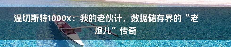 温切斯特1000x:我的老伙计,数据储存界的“老炮儿”传奇