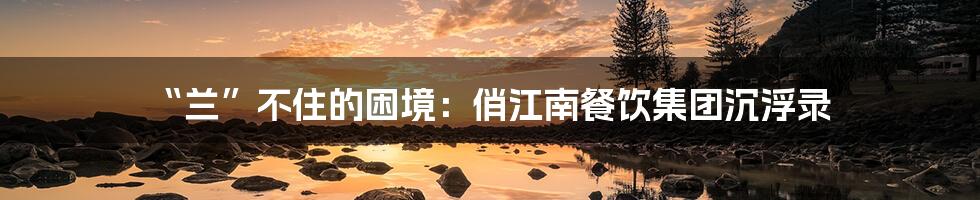 “兰”不住的困境:俏江南餐饮集团沉浮录