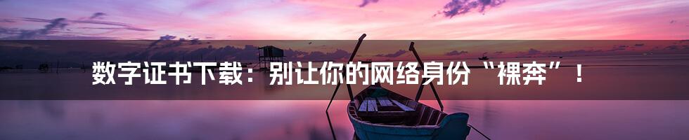数字证书下载:别让你的网络身份“裸奔”!