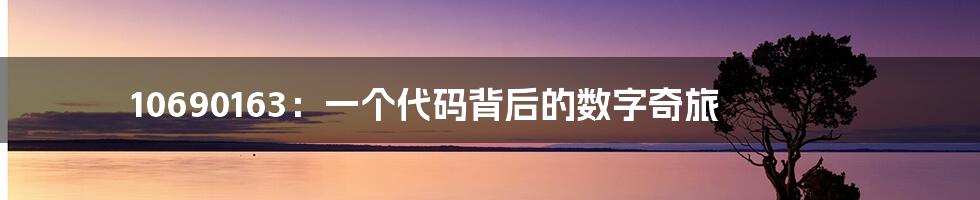 10690163:一个代码背后的数字奇旅