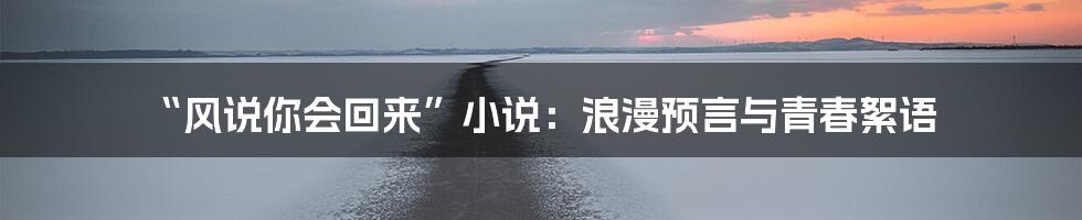 “风说你会回来”小说:浪漫预言与青春絮语