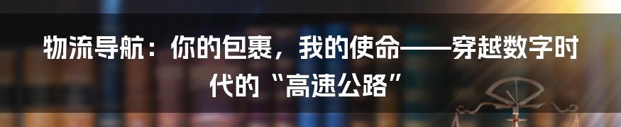物流导航:你的包裹,我的使命——穿越数字时代的“高速公路”