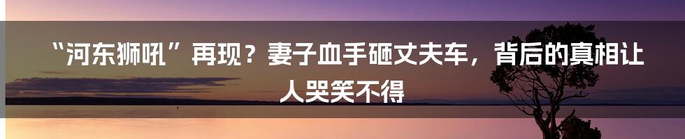 “河东狮吼”再现?妻子血手砸丈夫车,背后的真相让人哭笑不得