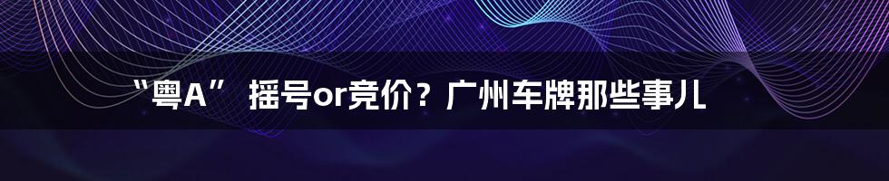 “粤A” 摇号or竞价?广州车牌那些事儿