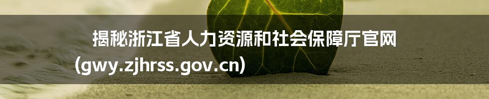揭秘浙江省人力资源和社会保障厅官网 (gwy.zjhrss.gov.cn)