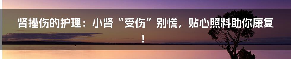 肾挫伤的护理:小肾“受伤”别慌,贴心照料助你康复!