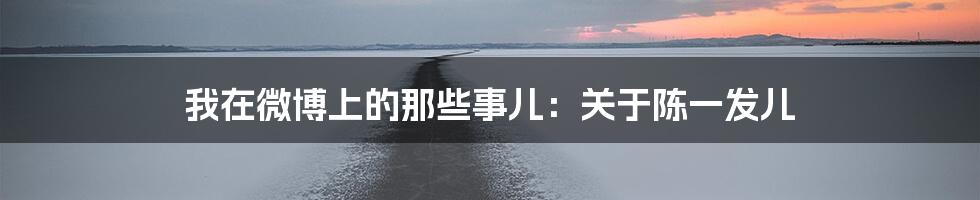 我在微博上的那些事儿:关于陈一发儿