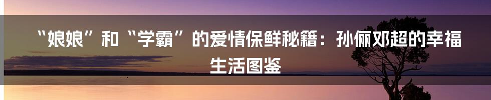 “娘娘”和“学霸”的爱情保鲜秘籍:孙俪邓超的幸福生活图鉴