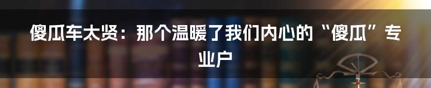 傻瓜车太贤：那个温暖了我们内心的“傻瓜”专业户