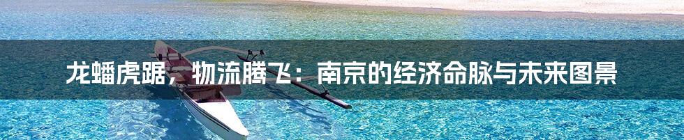 龙蟠虎踞，物流腾飞：南京的经济命脉与未来图景