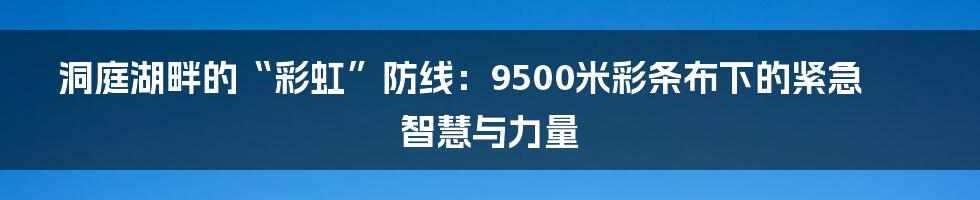 洞庭湖畔的“彩虹”防线:9500米彩条布下的紧急智慧与力量