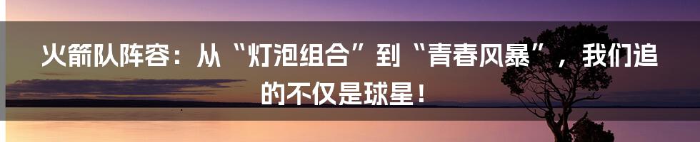火箭队阵容:从“灯泡组合”到“青春风暴”,我们追的不仅是球星!