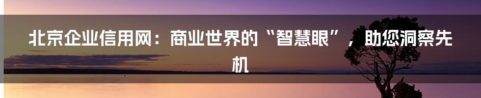 北京企业信用网:商业世界的“智慧眼”,助您洞察先机