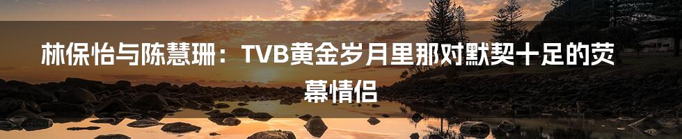 林保怡与陈慧珊:TVB黄金岁月里那对默契十足的荧幕情侣