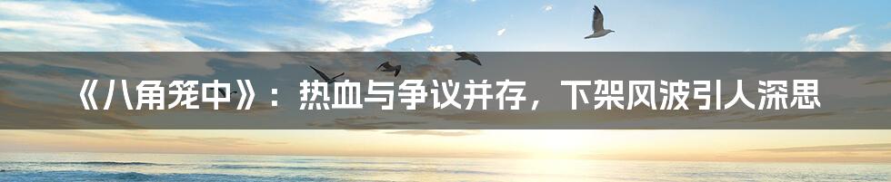 《八角笼中》:热血与争议并存,下架风波引人深思