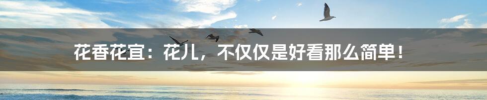 花香花宜:花儿,不仅仅是好看那么简单!