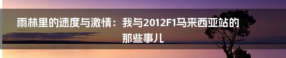 雨林里的速度与激情:我与2012F1马来西亚站的那些事儿