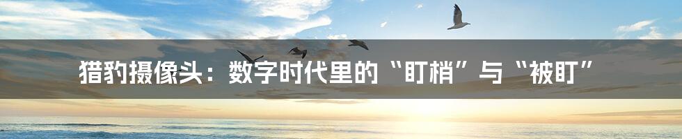 猎豹摄像头：数字时代里的“盯梢”与“被盯”