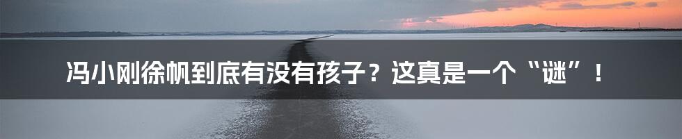 冯小刚徐帆到底有没有孩子?这真是一个“谜”!