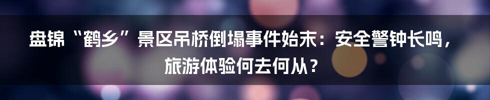 盘锦“鹤乡”景区吊桥倒塌事件始末:安全警钟长鸣,旅游体验何去何从?