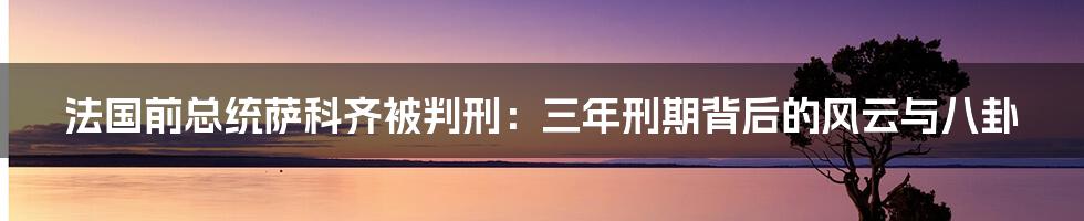 法国前总统萨科齐被判刑:三年刑期背后的风云与八卦