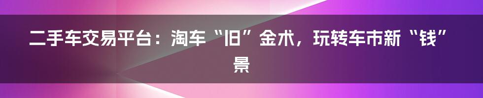 二手车交易平台:淘车“旧”金术,玩转车市新“钱”景