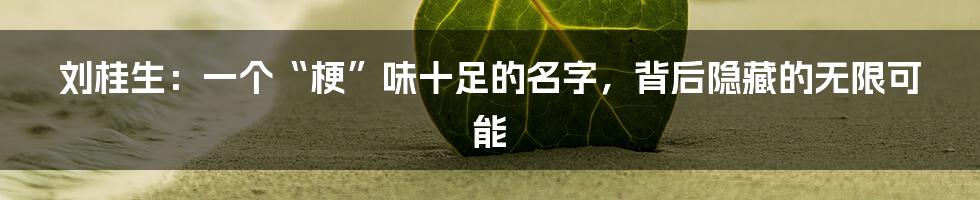 刘桂生：一个“梗”味十足的名字，背后隐藏的无限可能