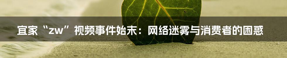 宜家“zw”视频事件始末:网络迷雾与消费者的困惑