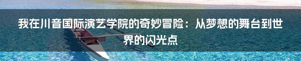 我在川音国际演艺学院的奇妙冒险:从梦想的舞台到世界的闪光点