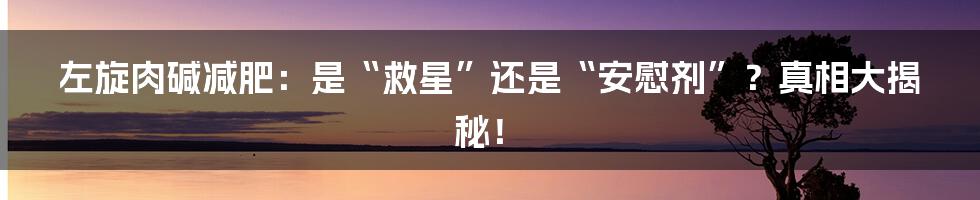 左旋肉碱减肥：是“救星”还是“安慰剂”？真相大揭秘！