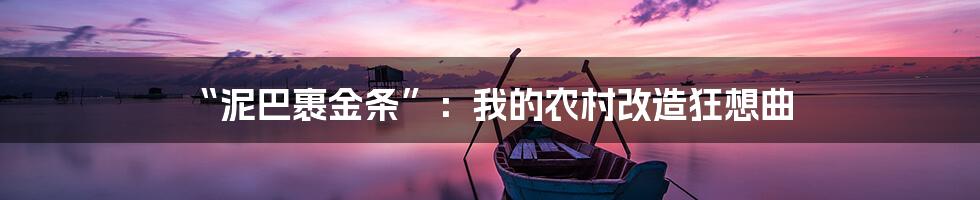 “泥巴裹金条”：我的农村改造狂想曲